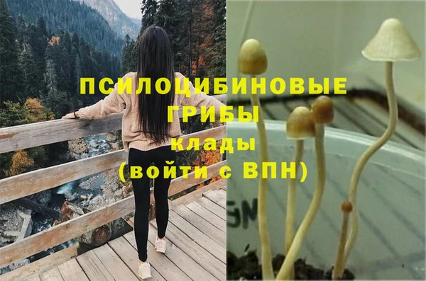 стафф Армянск