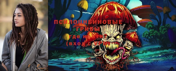 стафф Армянск