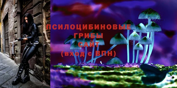 стафф Армянск