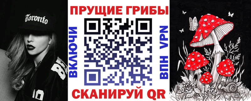 Псилоцибиновые грибы Psilocybe  Холм 