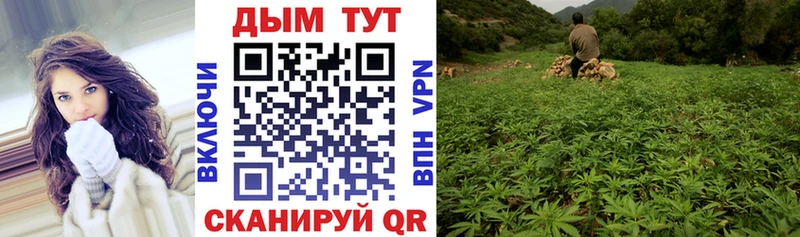 МАРИХУАНА LSD WEED  нарко площадка телеграм  Холм 